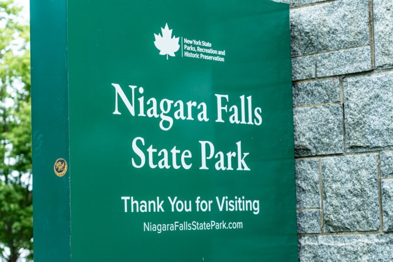 Photo by Daniel Mainye on Unsplash